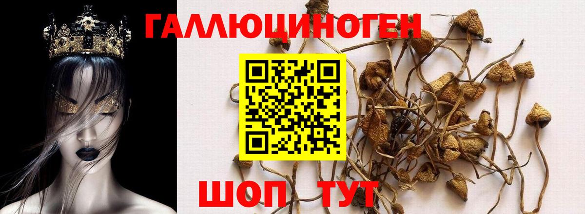 Галлюциногенные грибы прущие грибы Якутск